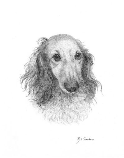 犬